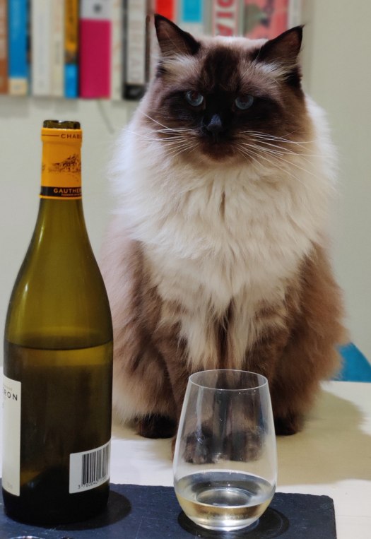 "I believe a spot of salmon would go perfectly with this vintage"